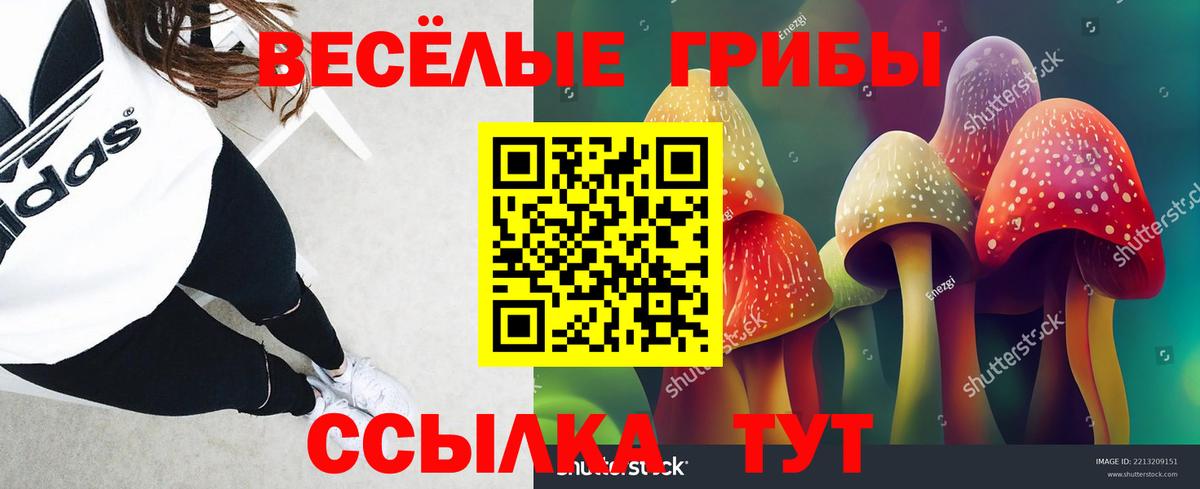Галлюциногенные грибы GOLDEN TEACHER  Вход с VPN  Гулькевичи  Псилоцибиновые грибы Psilocybe 
